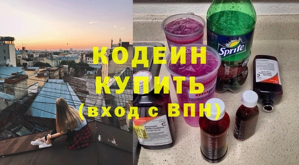 стаф Осинники