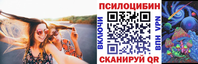 Галлюциногенные грибы Psilocybine cubensis  Сорск 